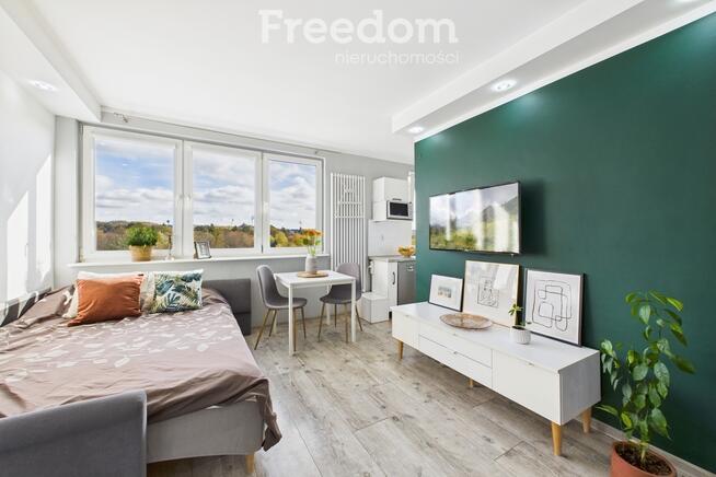 Przytulna kawalerka z widokiem na park.