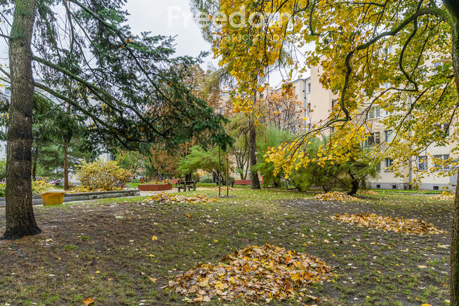 Mieszkanie w zielonej okolicy przy WUM