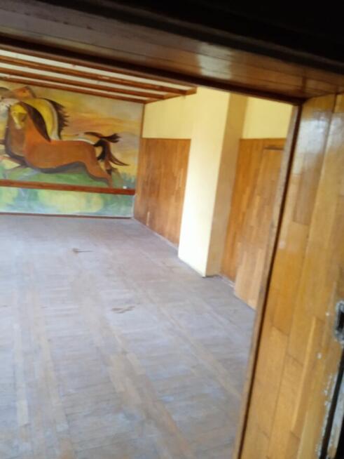 Dom ,Hala Warsztat samochodowy