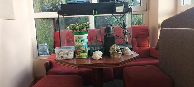 akwarjum i akcesoria