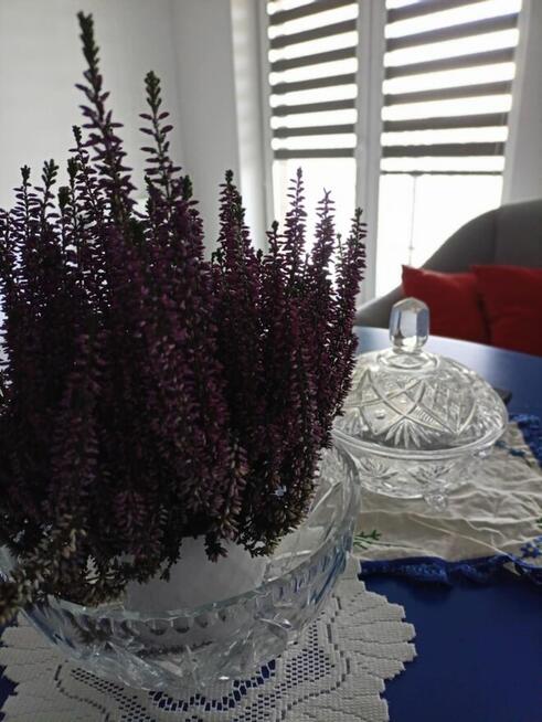 SPRZEDAM MIESZKANIE W ŁAŃCUCIE 39m2