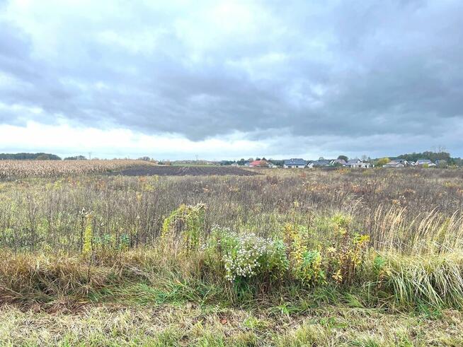 Działka Szembekowo, gm. Obrowo