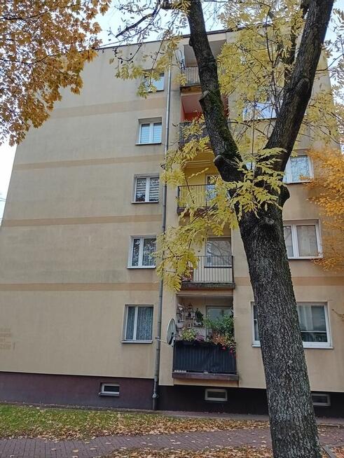 Mieszkanie 29,9 m2 centrum Częstochowy