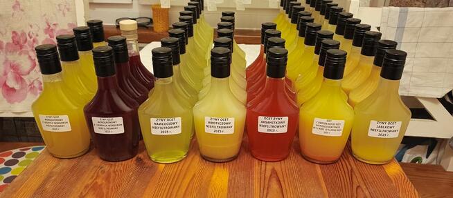 Żywy ocet z owoców dzikiej róży