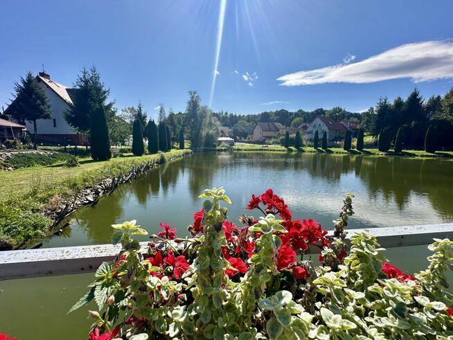 Dom Zarzyca gm. Kondratowice,