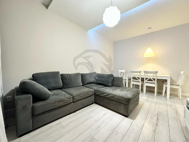 Zielona mucha na czerwonej koszuli