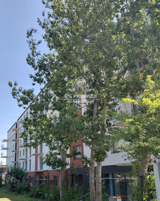 Piekne 3pok/mieszk/ogródek/w zielonej i spokojnej okolicy/ogrzewanie miejskie