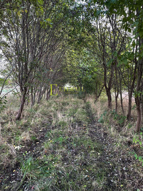 Duża działka inwestycyjna 5703m² – Kraków-Wadów