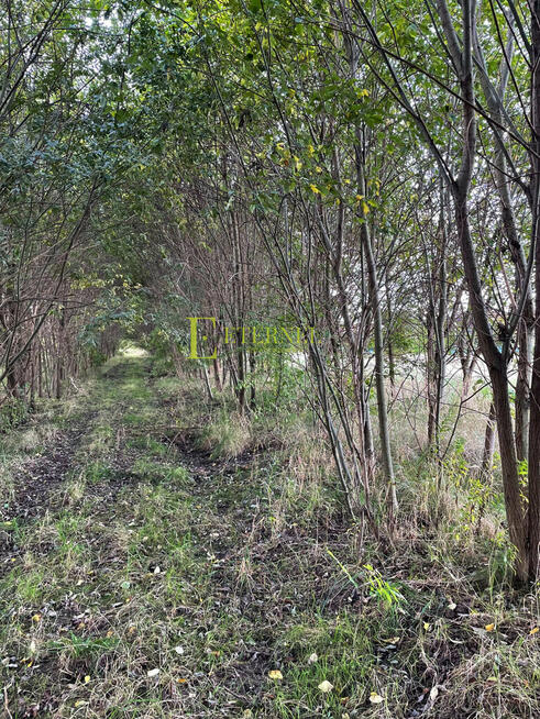 Duża działka inwestycyjna 5703m² – Kraków-Wadów