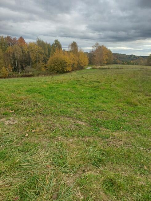 Działka budowlana 36 ar, Tuchów Okazyjna cena !