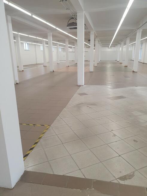 Duży lokal użytkowy w Tarnowie–836 m² z parkingiem
