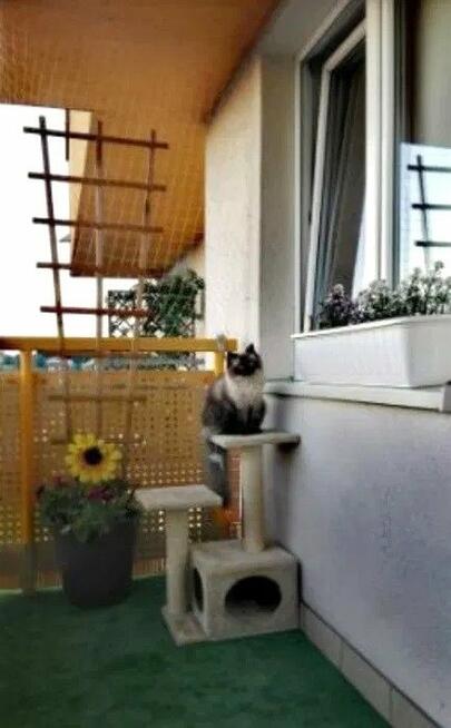 Mieszkanie Kraków Prądnik Biały, al. 29 Listopada