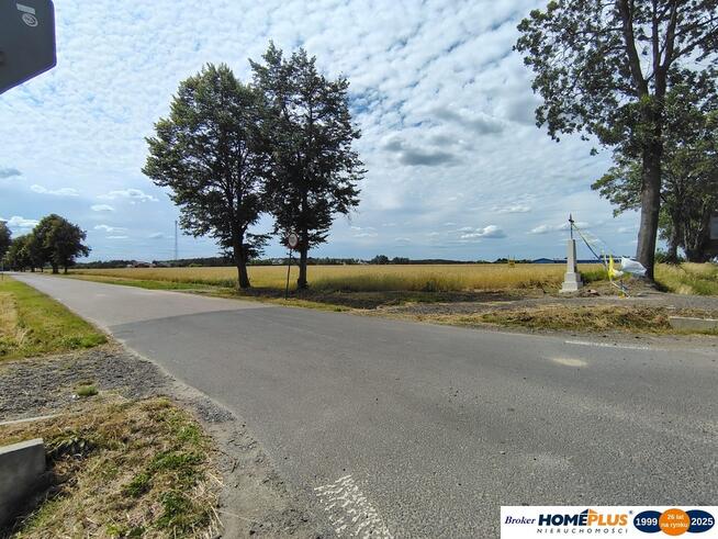 Działka blisko Narwi 35 km od Warszawy przy DK 61