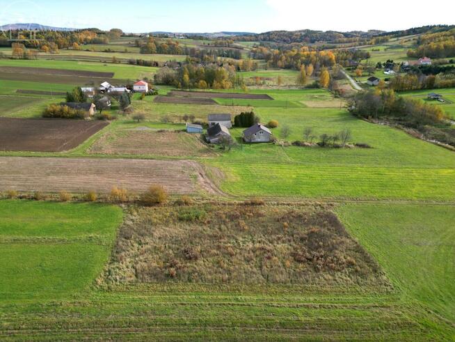 Działka rolno-budowlana Ołpiny gm. Szerzyny