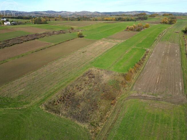 Działka rolno-budowlana Ołpiny gm. Szerzyny
