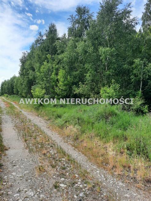 Działka rolna Puszcza Mariańska Wycześniak