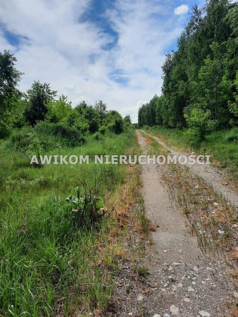 Działka rolna Puszcza Mariańska Wycześniak