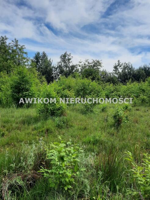 Działka rolna Puszcza Mariańska Wycześniak