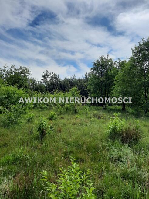 Działka rolna Puszcza Mariańska Wycześniak