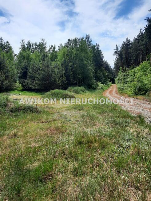 Działka rolna Puszcza Mariańska Wycześniak