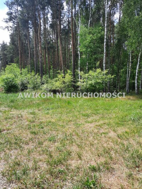 Działka rolna Puszcza Mariańska Wycześniak