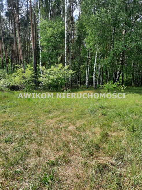 Działka rolna Puszcza Mariańska Wycześniak