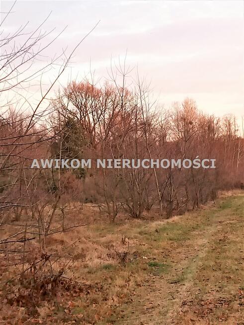 Działka budowlana Kanie gm. Brwinów