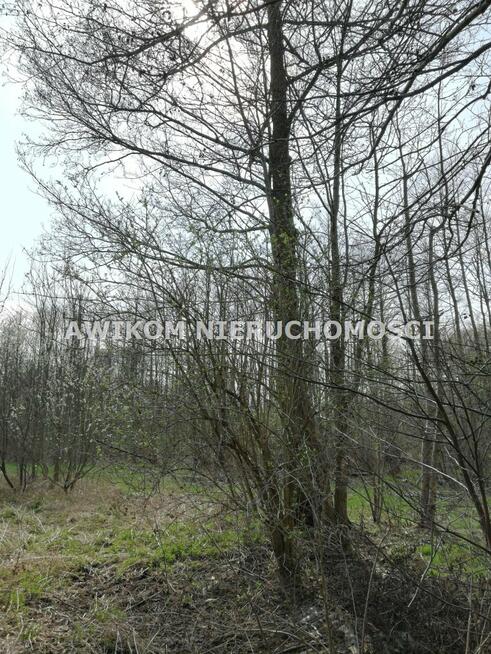 Działka budowlana Jaktorów Budy-Grzybek