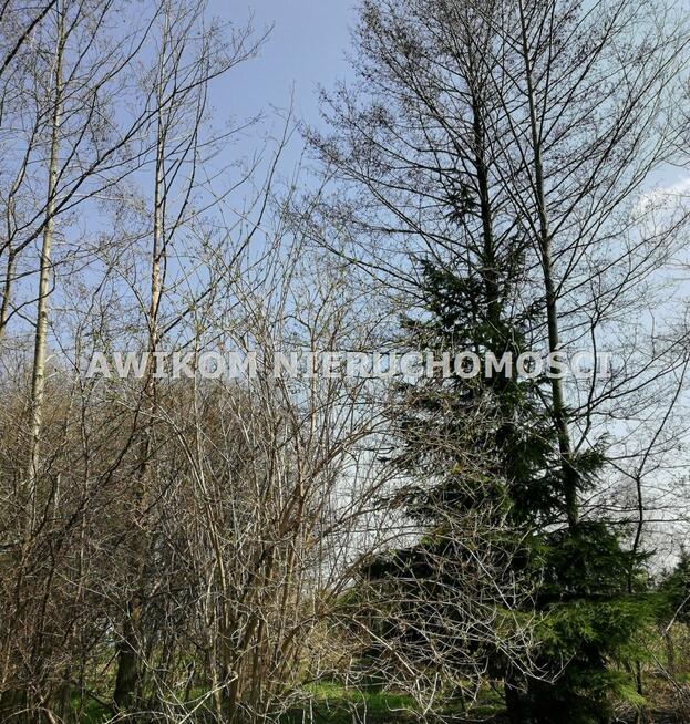 Działka budowlana Jaktorów Budy-Grzybek