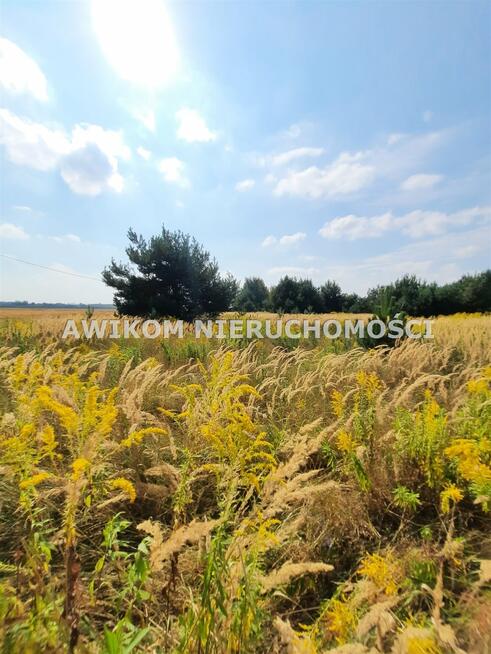 Działka budowlana Kwiatkówek gm. Kampinos