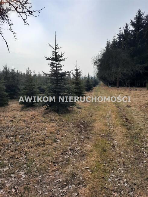 Działka usługowa Powązki gm. Mszczonów