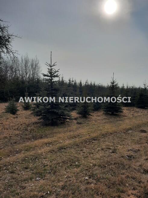 Działka usługowa Powązki gm. Mszczonów