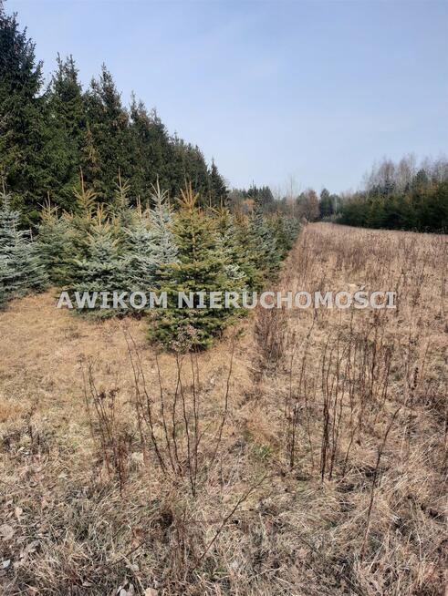 Działka usługowa Powązki gm. Mszczonów