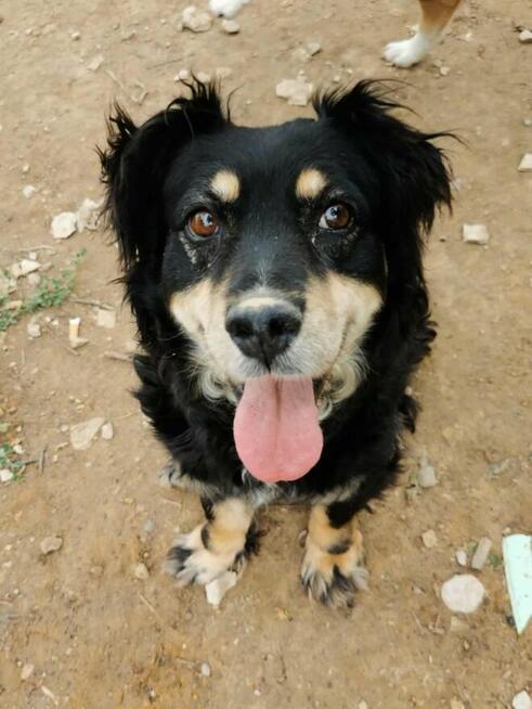 Kochana proludzka dziewczynka pragnie mieć domek