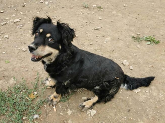 Kochana proludzka dziewczynka pragnie mieć domek