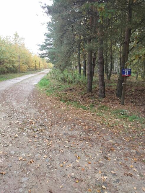 Działka budowlana Lipowo - Wiązowna