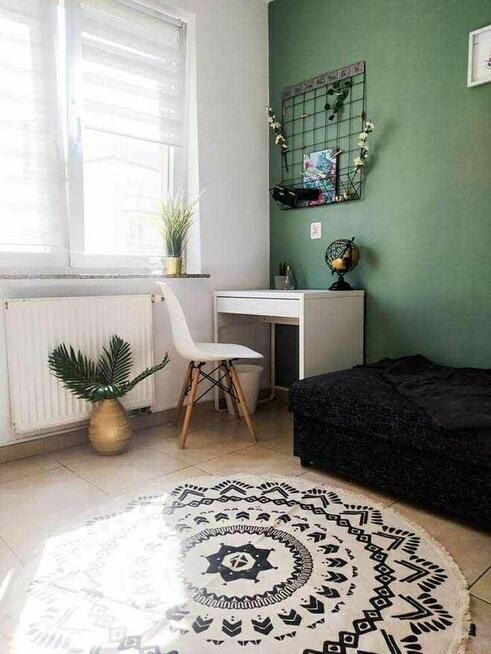 Jednoosobowy pokój do wynajęcia