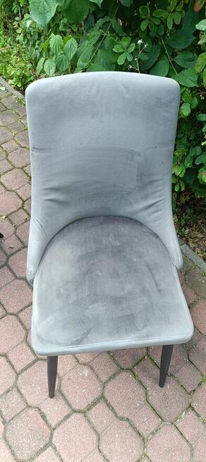3 Ładne welurowe krzesła NEW HOME
