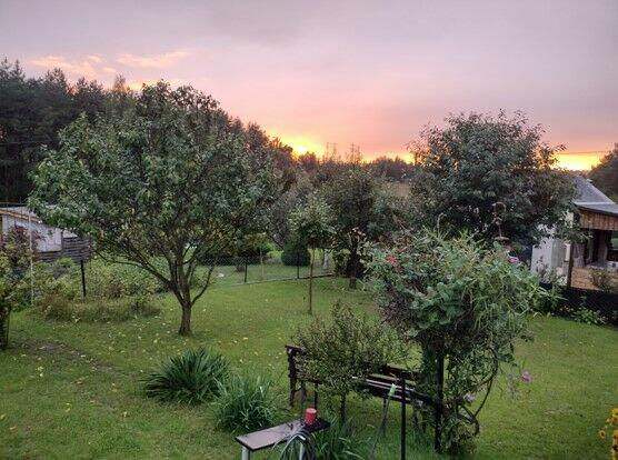 Działka ROD z domkiem 2025 – Aleksandrów