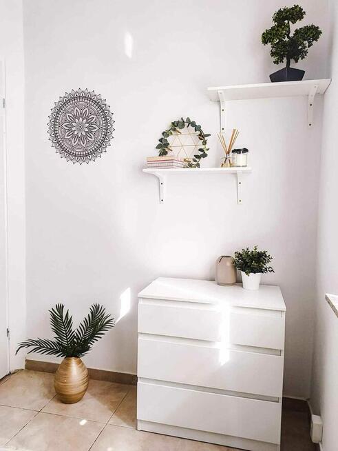 Jednoosobowy pokój do wynajęcia