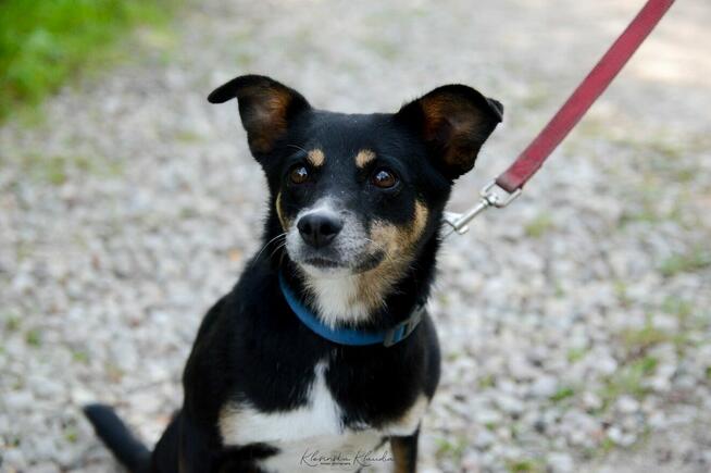 Natka - mała wojowniczka o wielkim sercu!