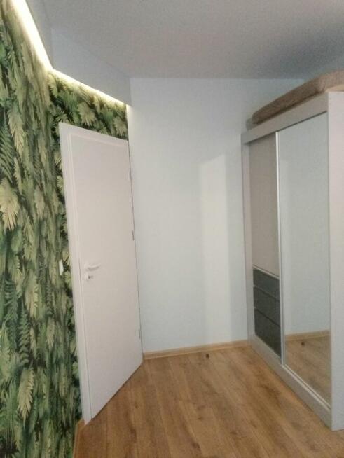 mieszkanie do wynajęcia