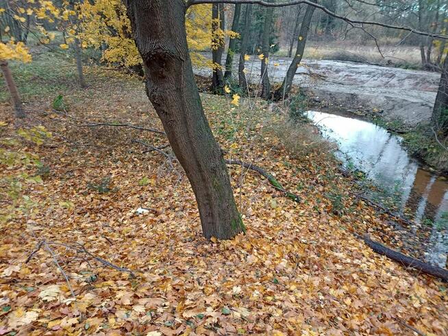 Działka z możliwościami