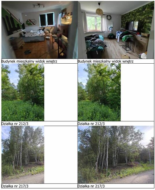 Syndyk sprzeda działki (w tym zabudowaną) w m. Karolew