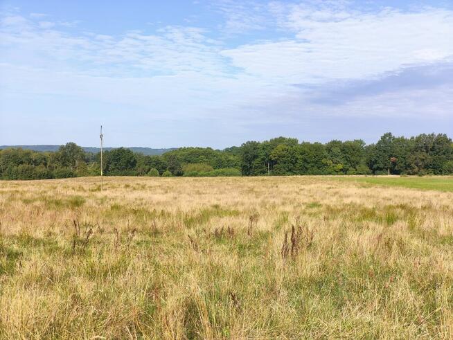 Z dala od spojrzeń sąsiadów