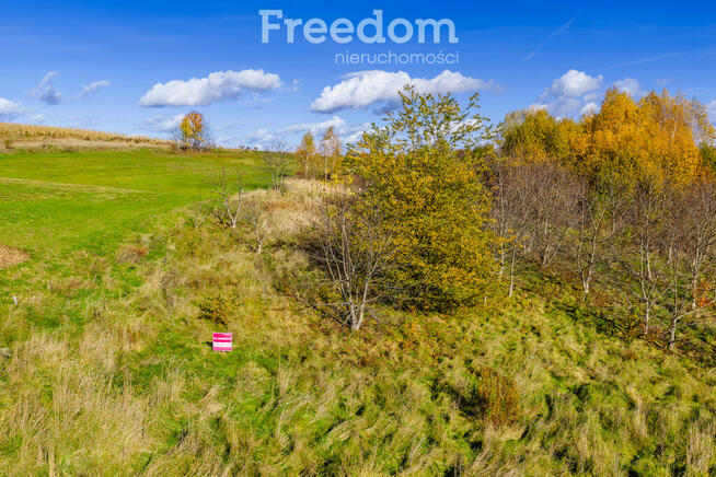 55a z potencjałem budowlanym przy granicy Rzeszowa