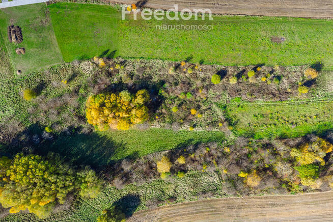 55a z potencjałem budowlanym przy granicy Rzeszowa
