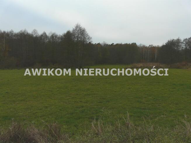 Działka rolna Stara Rawa gm. Nowy Kawęczyn