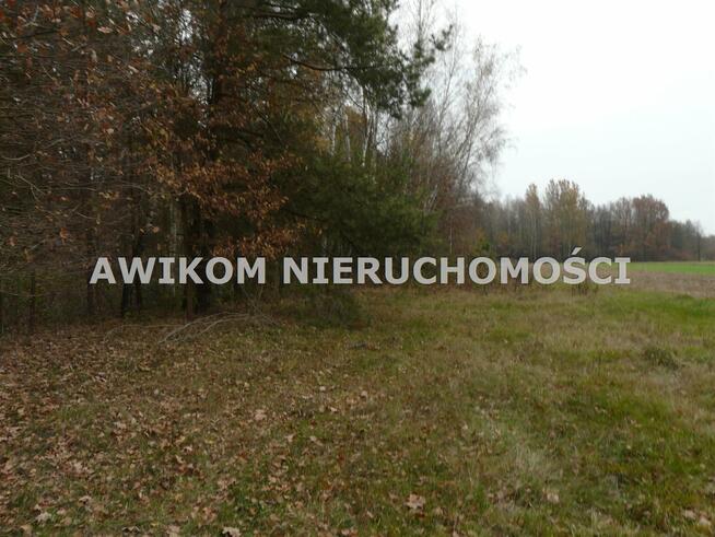 Działka rolna Stara Rawa gm. Nowy Kawęczyn