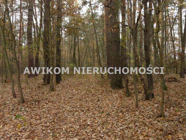 Działka rolna Stara Rawa gm. Nowy Kawęczyn